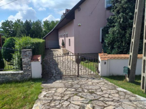Hotels in Pogány